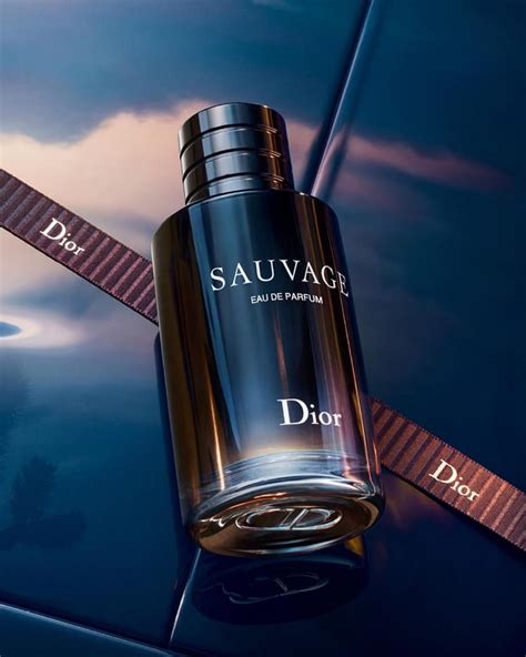 dior pour homme perfume|perfume dior homme sauvage.